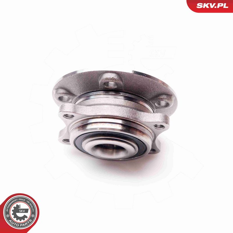 ESEN SKV 29SKV039 Wheel Bearing Kit