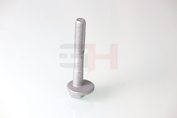 GH GH-399901 Camber Correction Screw