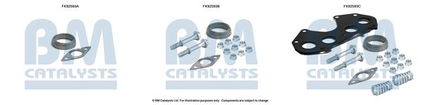 BM CATALYSTS szerelőkészlet, katalizátor FK92593