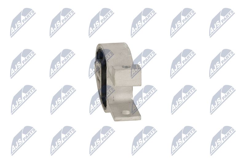 Paigutus, Mootor, NTY ZPS-FR-037