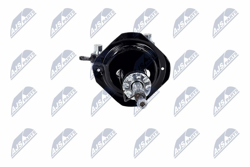 Amort, NTY A-NS-016