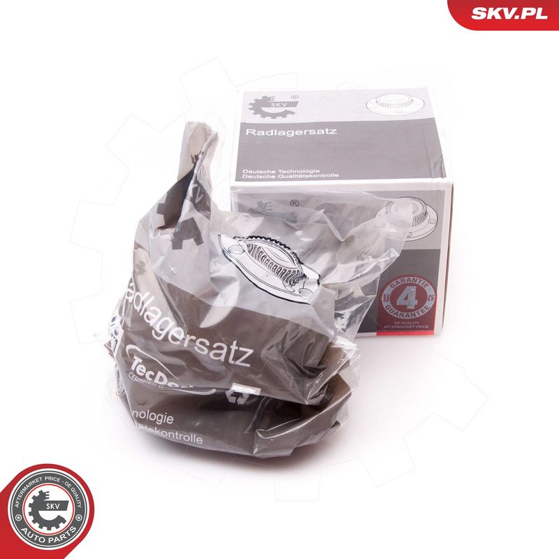 Rattalaagrikomplekt, ESEN SKV 29SKV168