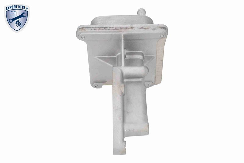 ACKOJA A38-60-0005 Oil Cooler, engine oil