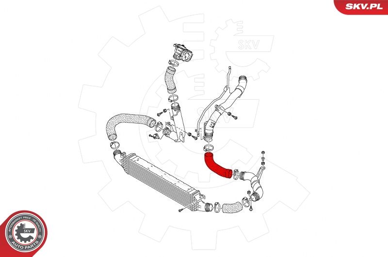 Шланг подачі наддувального повітря, Skv Germany 43SKV212