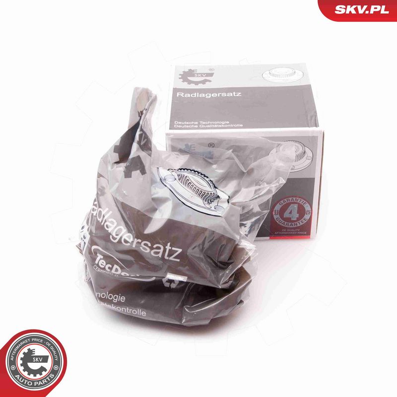 ESEN SKV 29SKV132 Wheel Bearing Kit