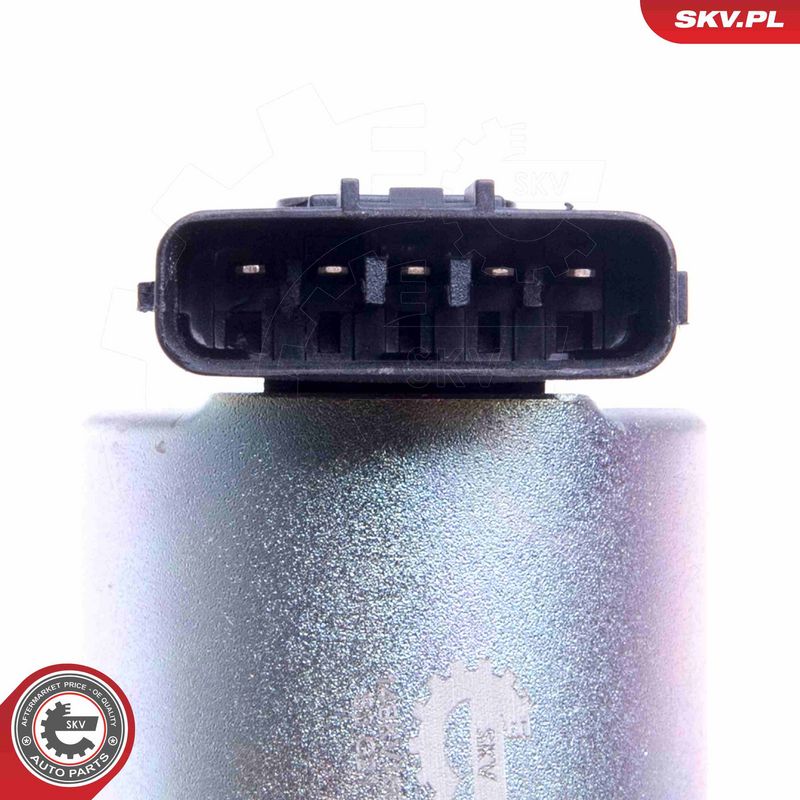 EGR-klapp, ESEN SKV 14SKV166