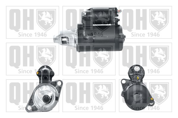 QH_QRS1660_GRUPPE.JPG