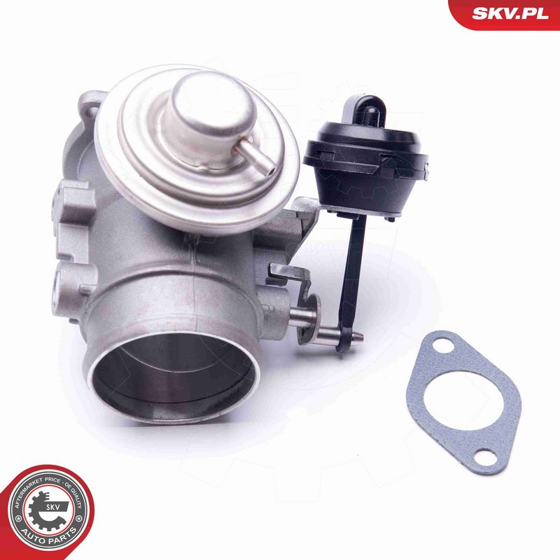 ESEN SKV 14SKV106 EGR Valve