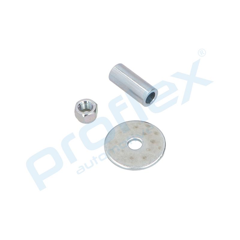 PROFLEX AUTOMOTIVE PX5-BA025 Amortizatorius