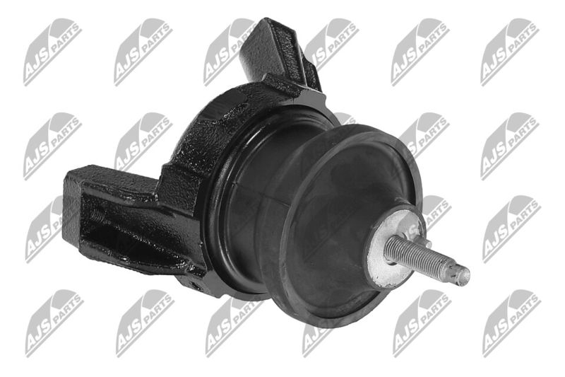 Paigutus, Mootor, NTY ZPS-HY-565