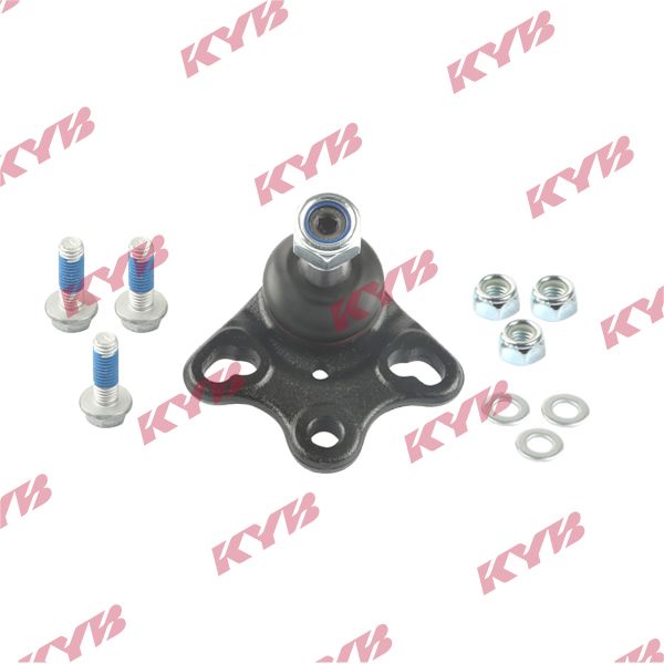KYB-KBJ4454.JPG