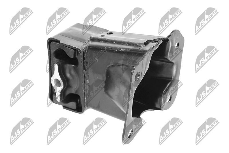 Paigutus, Mootor, NTY ZPS-CH-033