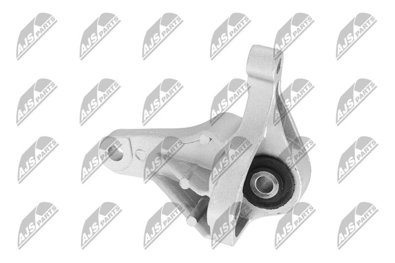 Paigutus, Mootor, NTY ZPS-FR-049