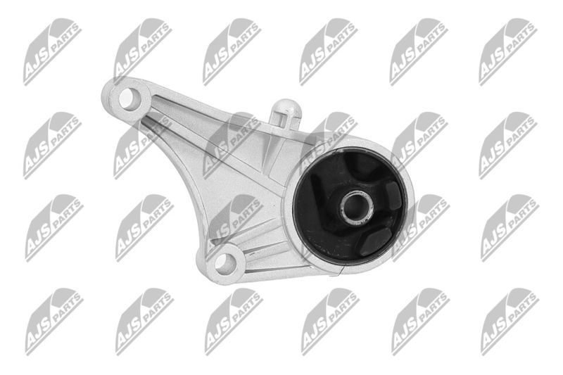 Paigutus, Mootor, NTY ZPS-PL-012