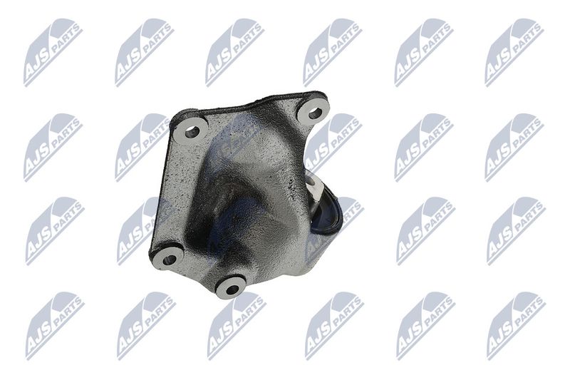 Paigutus, Mootor, NTY ZPS-CH-004