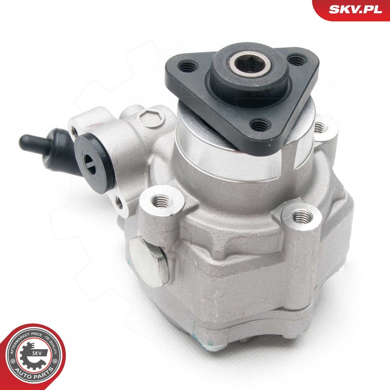 Hüdraulikapump, roolimine, ESEN SKV 10SKV193
