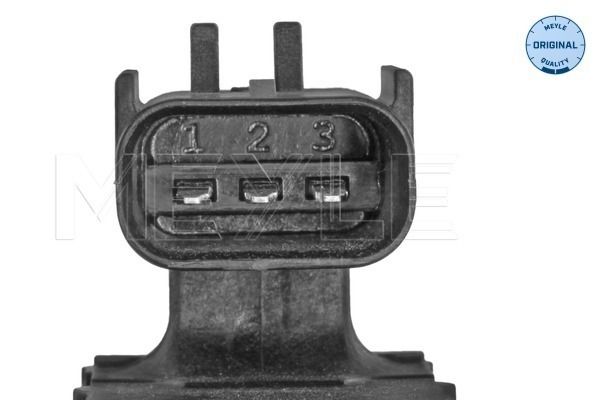 FS_0348010000_3.JPG