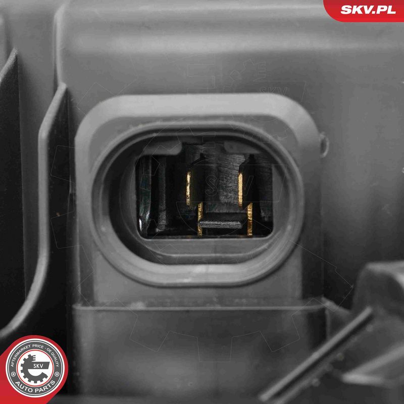 ESEN SKV 68SKV225 Interior Blower
