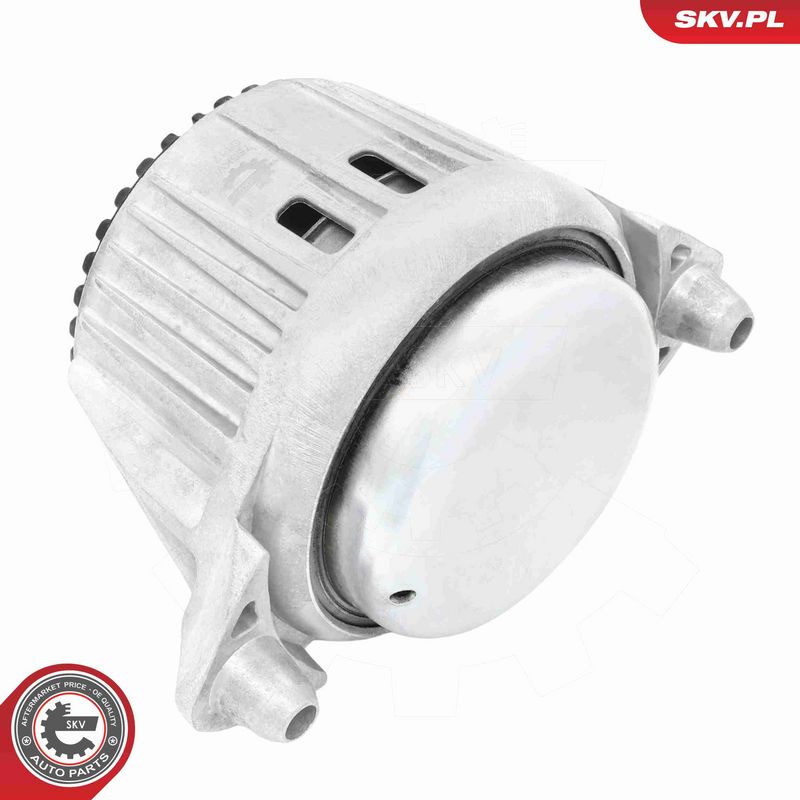 ESEN SKV 75SKV066 Mounting, engine