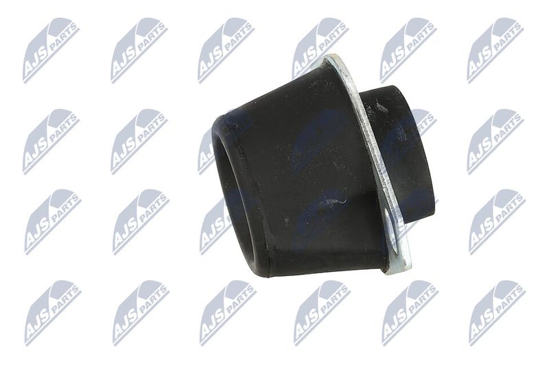 Paigutus, Mootor, NTY ZPS-PE-005