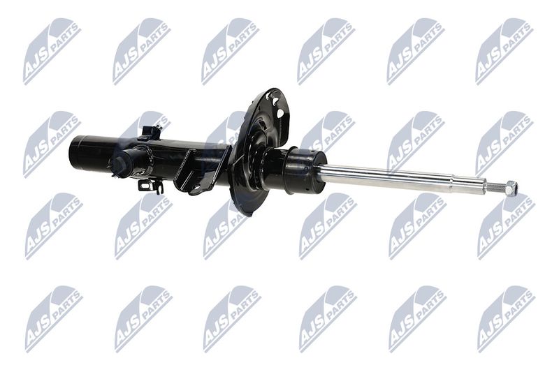 Amort, NTY A-LR-033