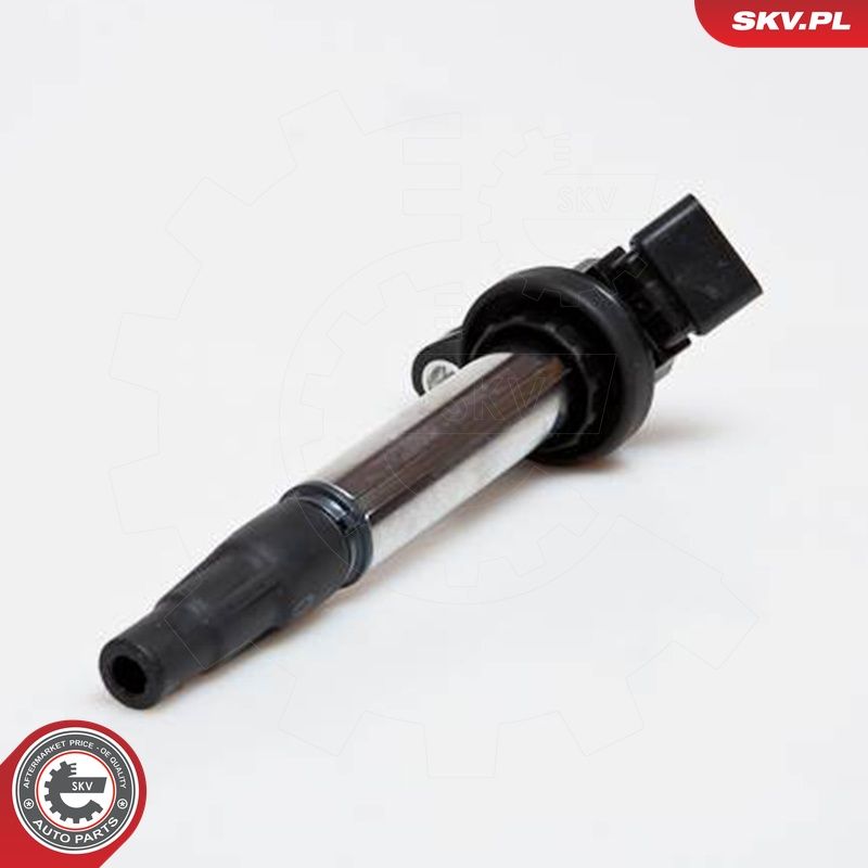 Süütepool, ESEN SKV 03SKV173