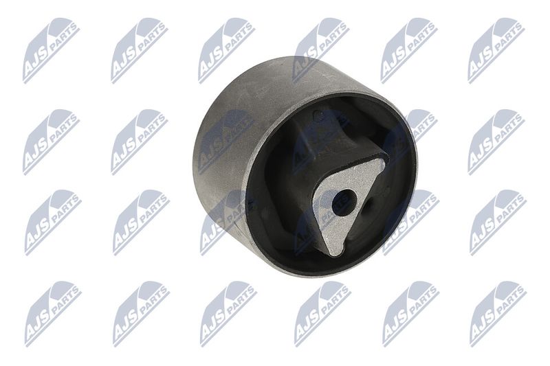 Paigutus, Mootor, NTY ZPS-CH-040