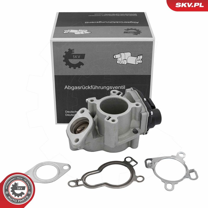EGR-klapp, ESEN SKV 14SKV317