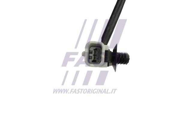 FT80247_4_1.JPG