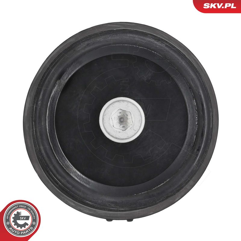 Paigutus, Mootor, ESEN SKV 75SKV238