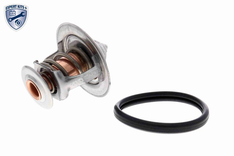 ACKOJA A70-99-0031 - Termostatas