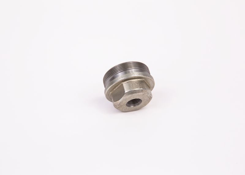 BOSCH F002D12533 Screw