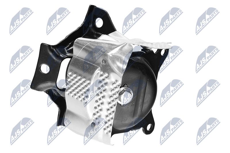 Paigutus, Mootor, NTY ZPS-CH-150