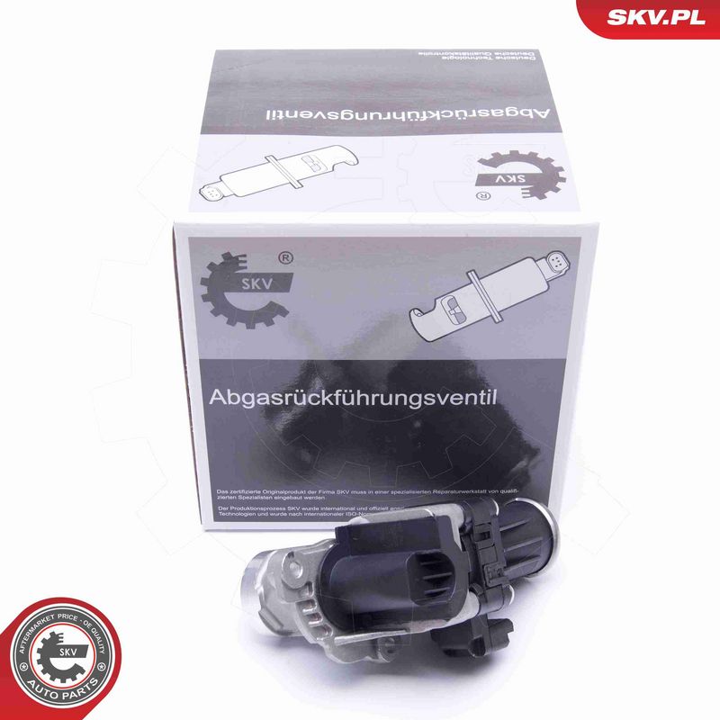 ESEN SKV 14SKV185 - EGR Valve