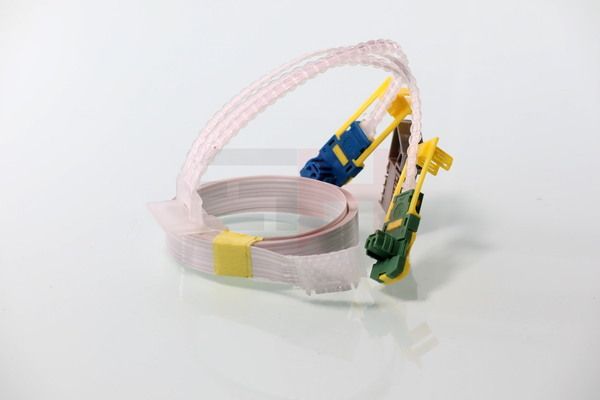 Tulede, kojameeste kangilüliti, GH GH-793768