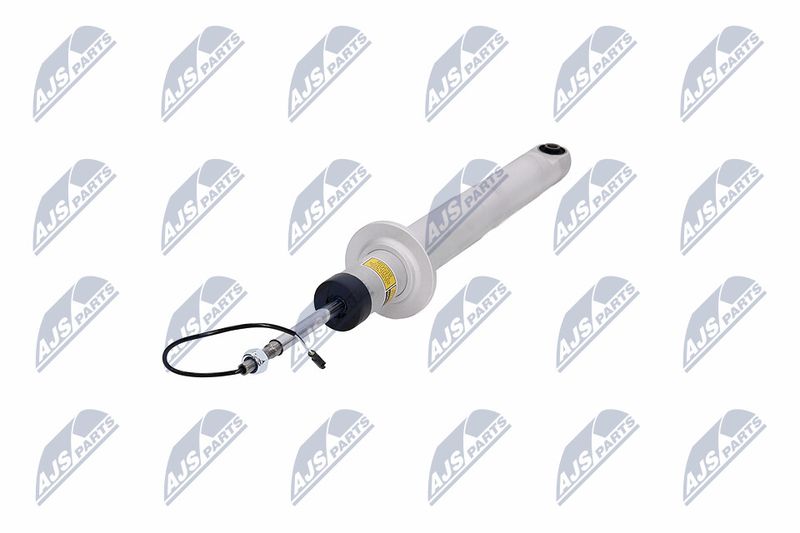 Amort, NTY A-MA-003
