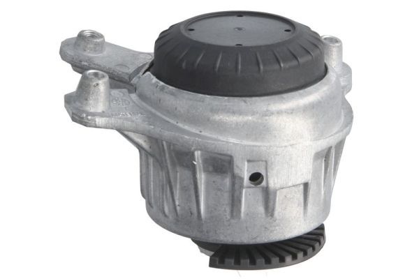 REINHOCH RH11-3160 Mounting, engine