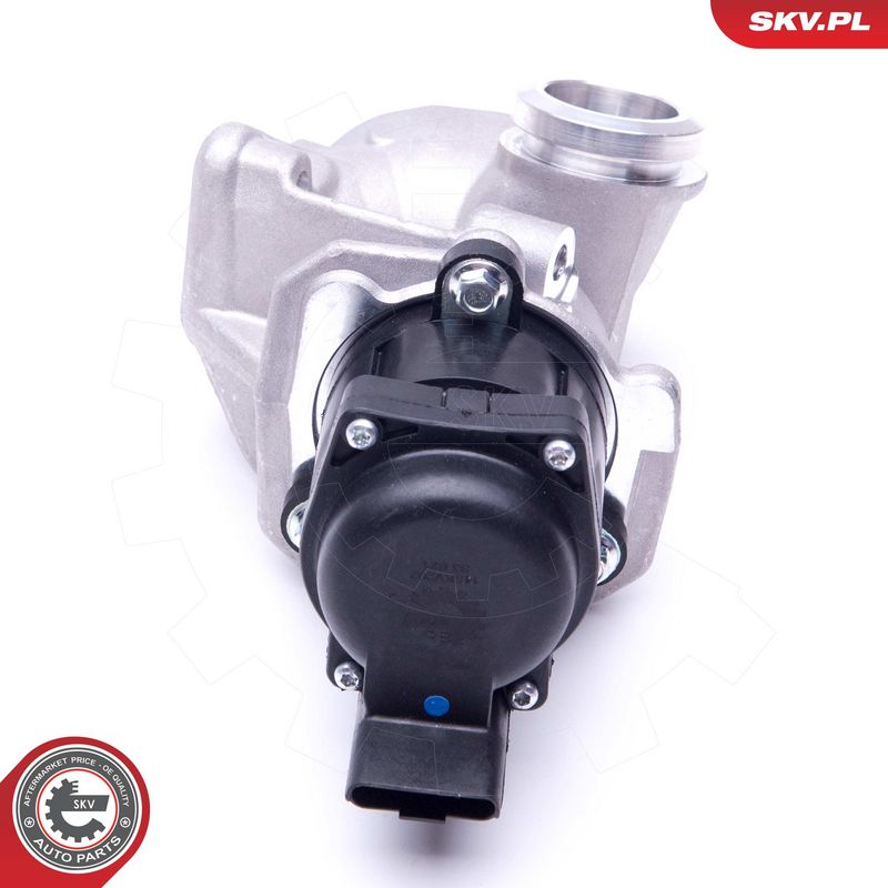 EGR-klapp, ESEN SKV 14SKV202