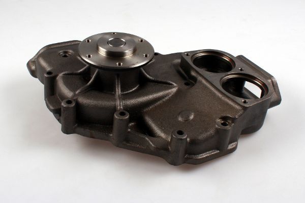 P1559.JPG