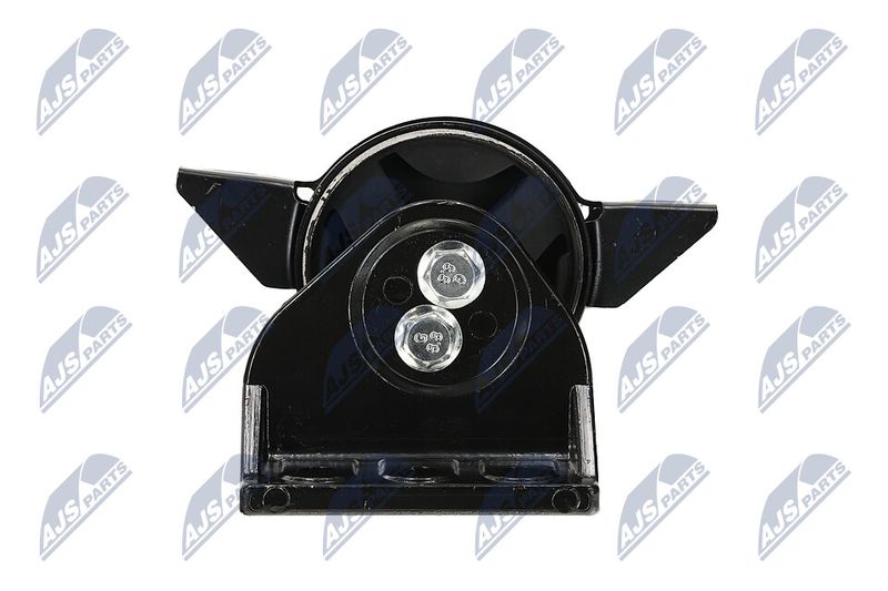 Paigutus, Mootor, NTY ZPS-DW-011