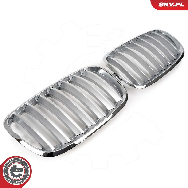 Radiaatorivõre, ESEN SKV 66SKV285