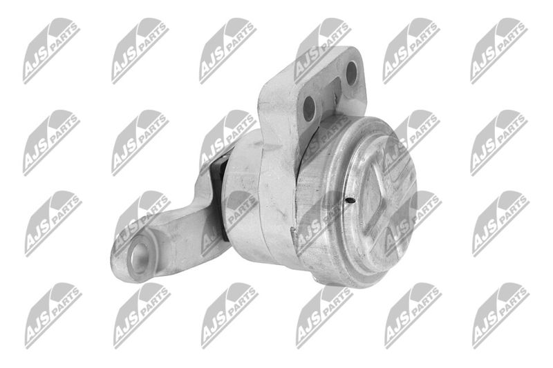 Paigutus, Mootor, NTY ZPS-FR-033