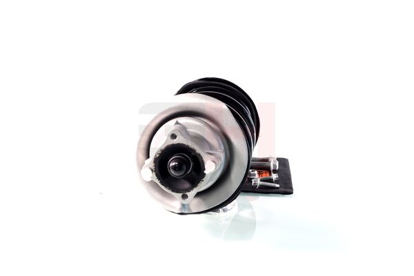 Vedruamort, GH GH-353364C01