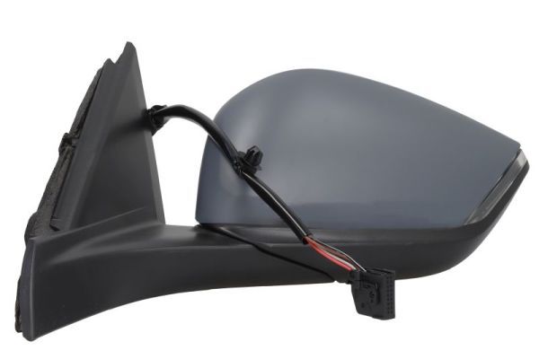 BLIC 5402-08-2543310P Exterior Mirror