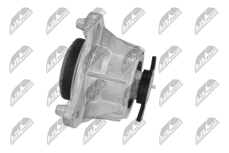 Paigutus, Mootor, NTY ZPS-ME-066