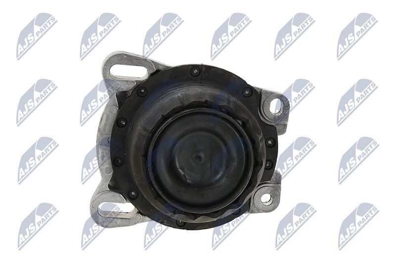 Paigutus, Mootor, NTY ZPS-FR-013