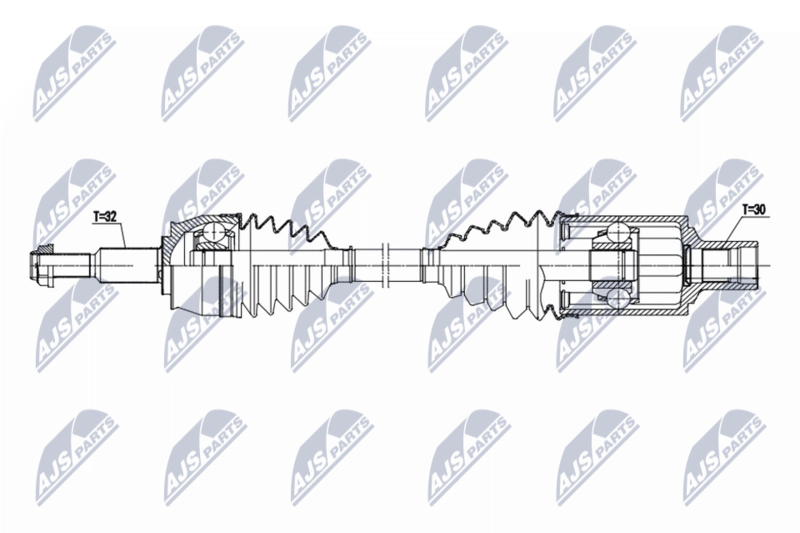 NPW-CH-173_9-WM.PNG