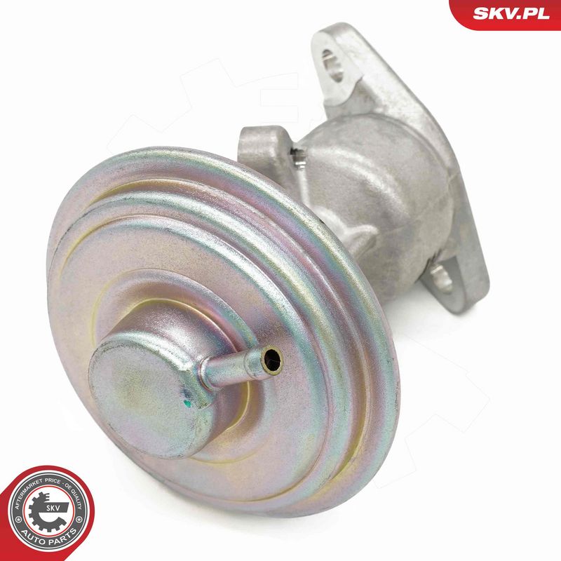 EGR-klapp, ESEN SKV 14SKV258