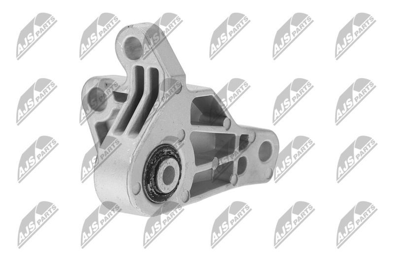 Paigutus, Mootor, NTY ZPS-FR-066