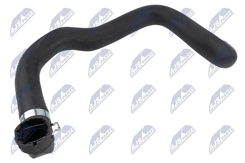 CPP-FT-019_1-WM.JPG
